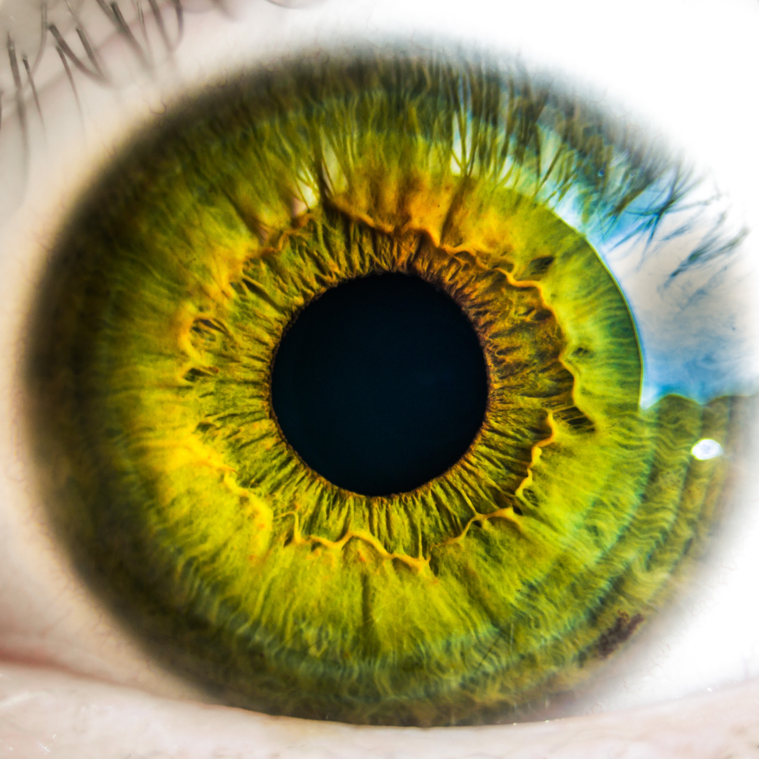 'Person's Green Eye' from public domain site Pexels